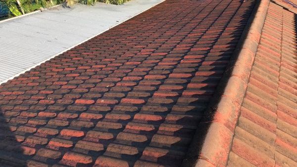 482001586_1212789040849860_3885875619781199769_n