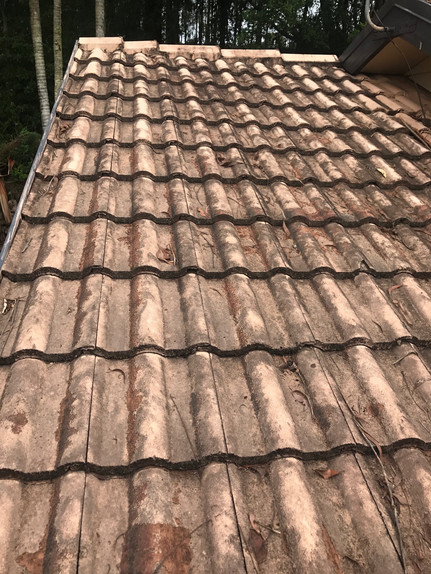 51576551_257338821848385_4610361794110685184_n