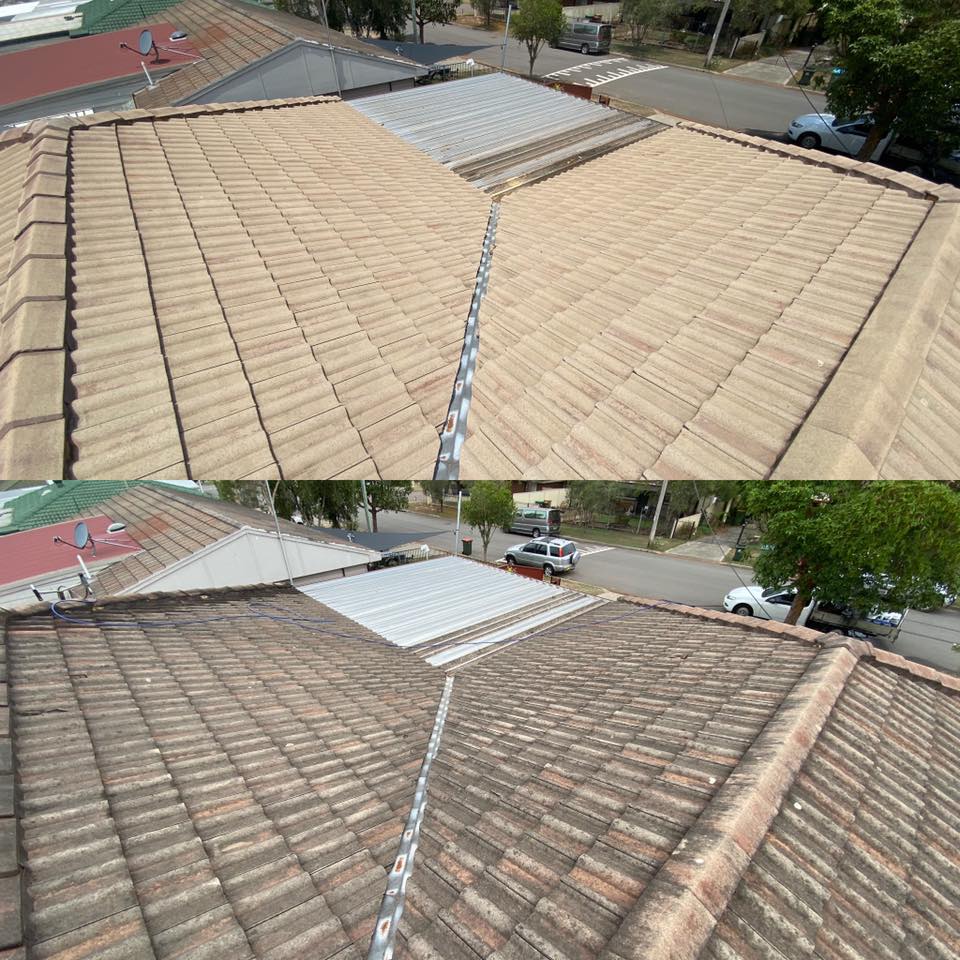 90200290_525940781654853_1494482597047173120_n